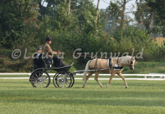 Turnier_Okel_2024_001