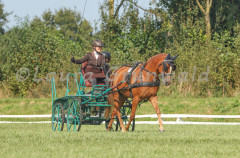 Turnier_Okel_2024_142