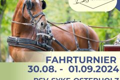 Fahrturnier 2024