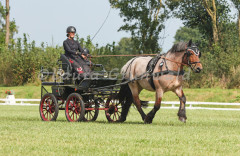 Turnier_Okel_2024_119