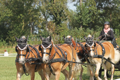 Turnier_Okel_2024_137