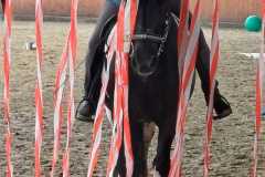 IMG-20250612-WA0017