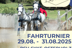 Fahrturnier 2025 Flyer