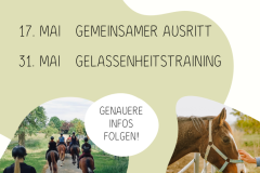 Save the date: gemeinsamer Ausritt & Gelassenheitstraining