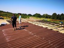 Kleine Pause auf dem Dach