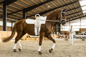 Kurt Isensee mit Lucilla